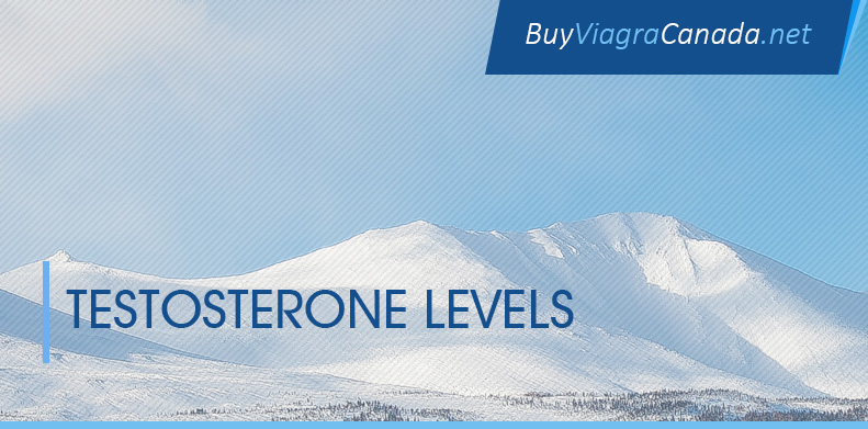 Testosterone Levels